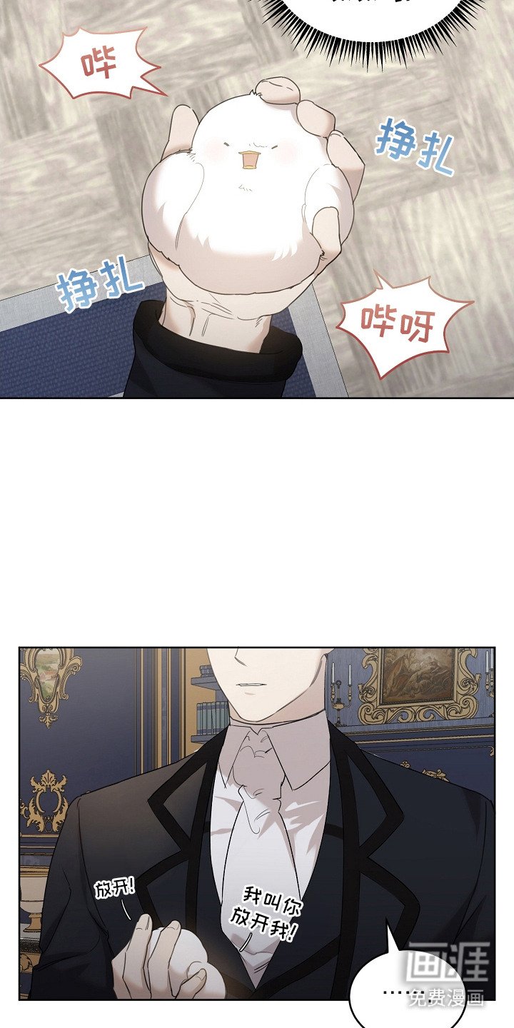 第12章：一把抓住