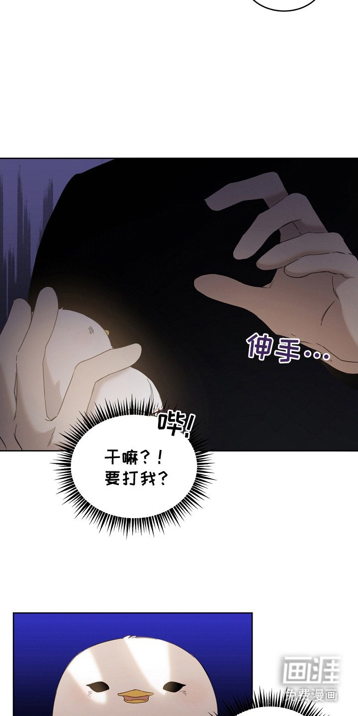 第12章：一把抓住
