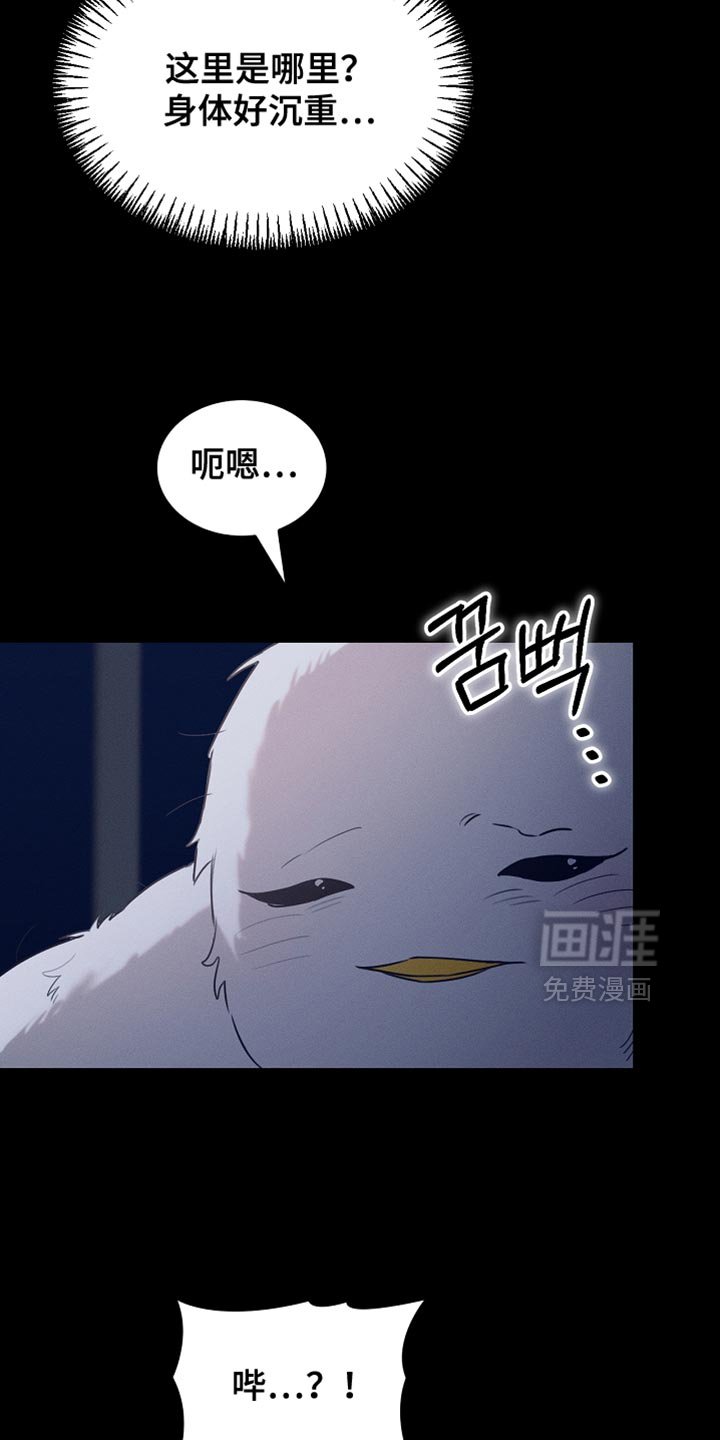 第125章：【第二季】为什么绑架我
