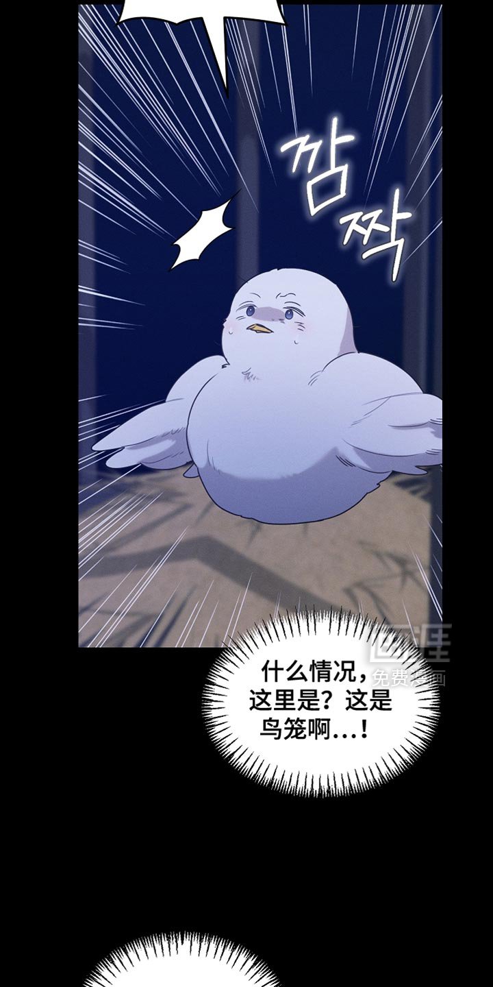 第125章：【第二季】为什么绑架我