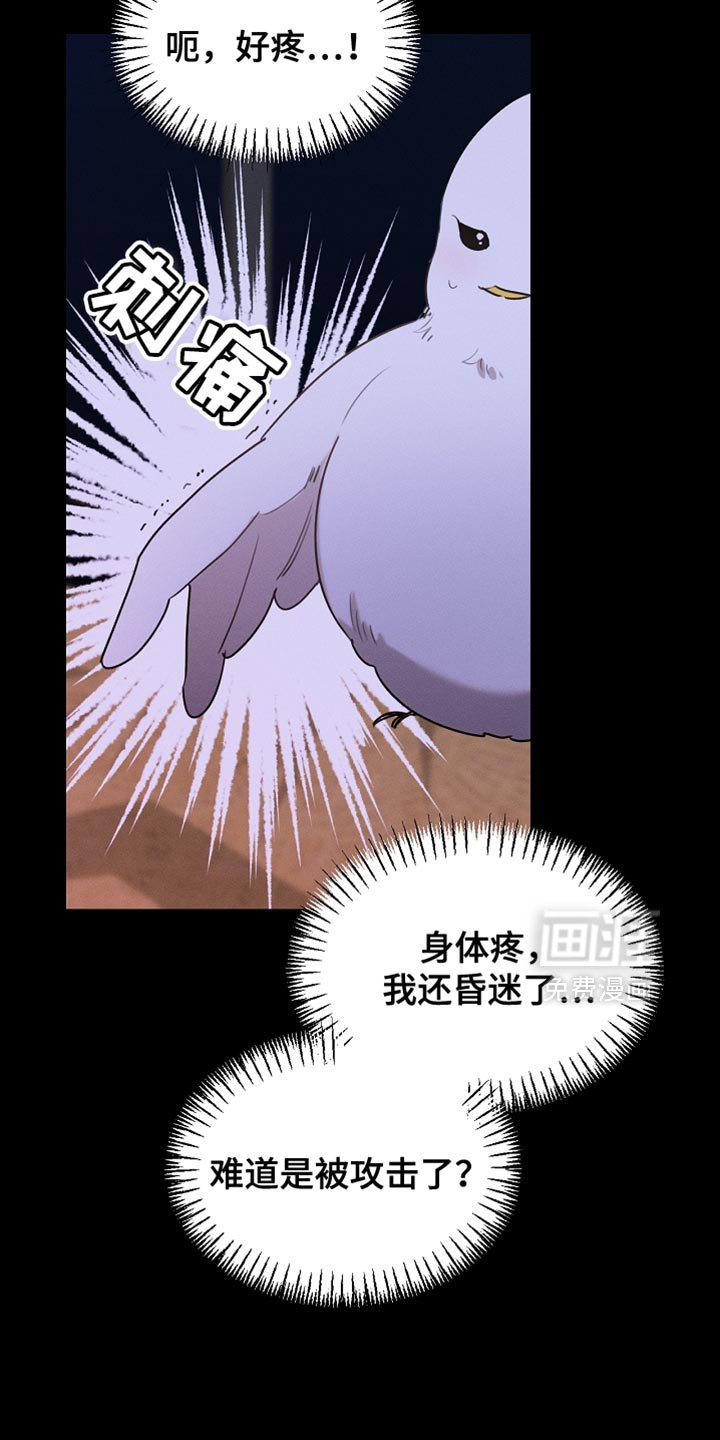第125章：【第二季】为什么绑架我