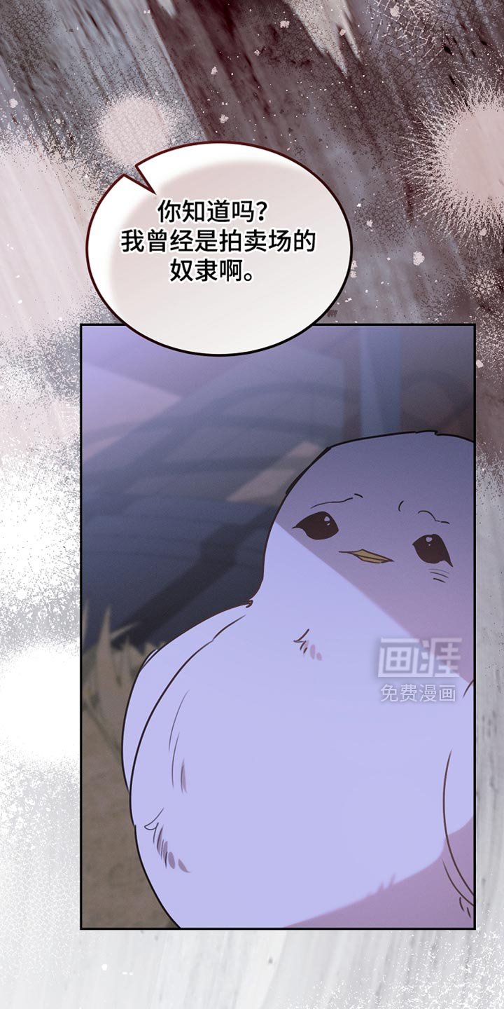 第126章：【第二季】可疑之处