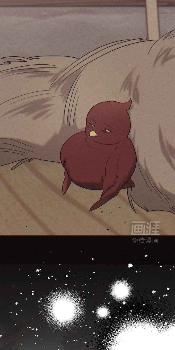 第126章：【第二季】可疑之处