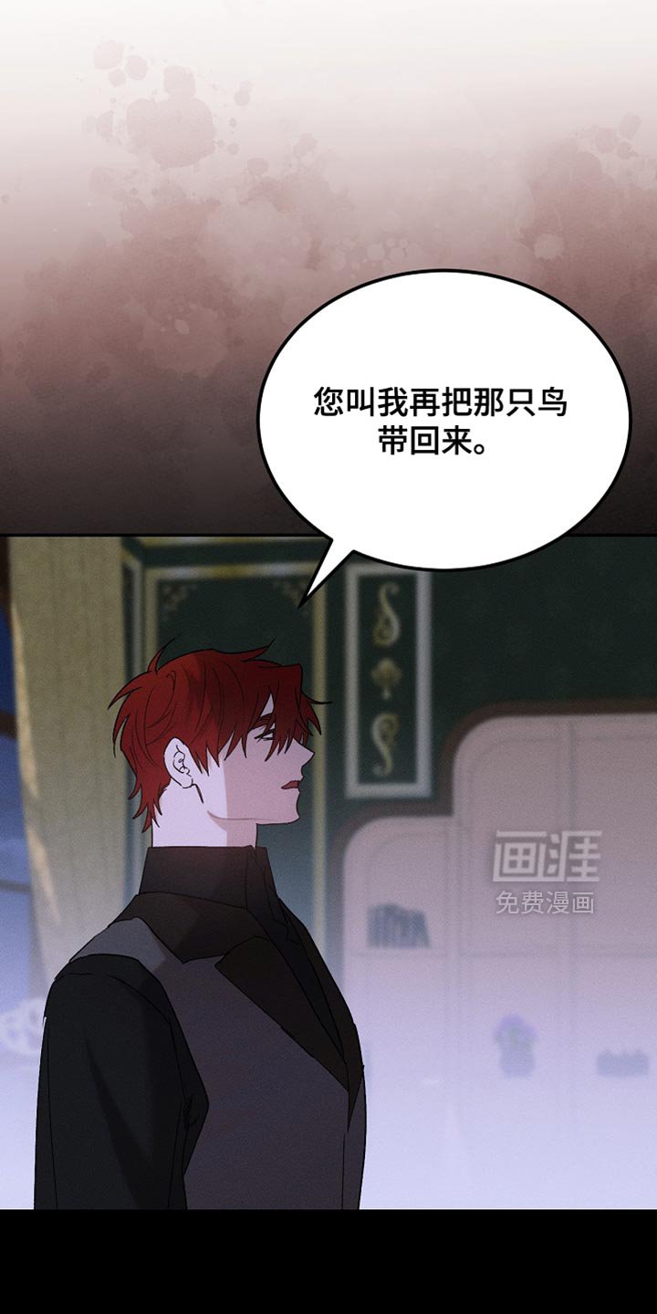 第128章：【第二季】有点印象