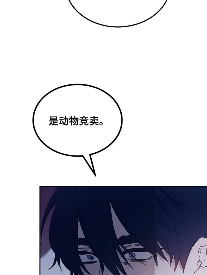 第129章：【第二季】是你这家伙做的事情