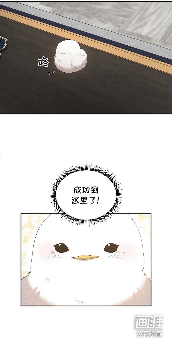 第15章：好好吃