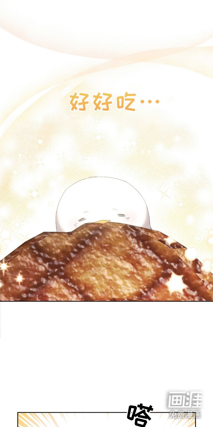 第15章：好好吃