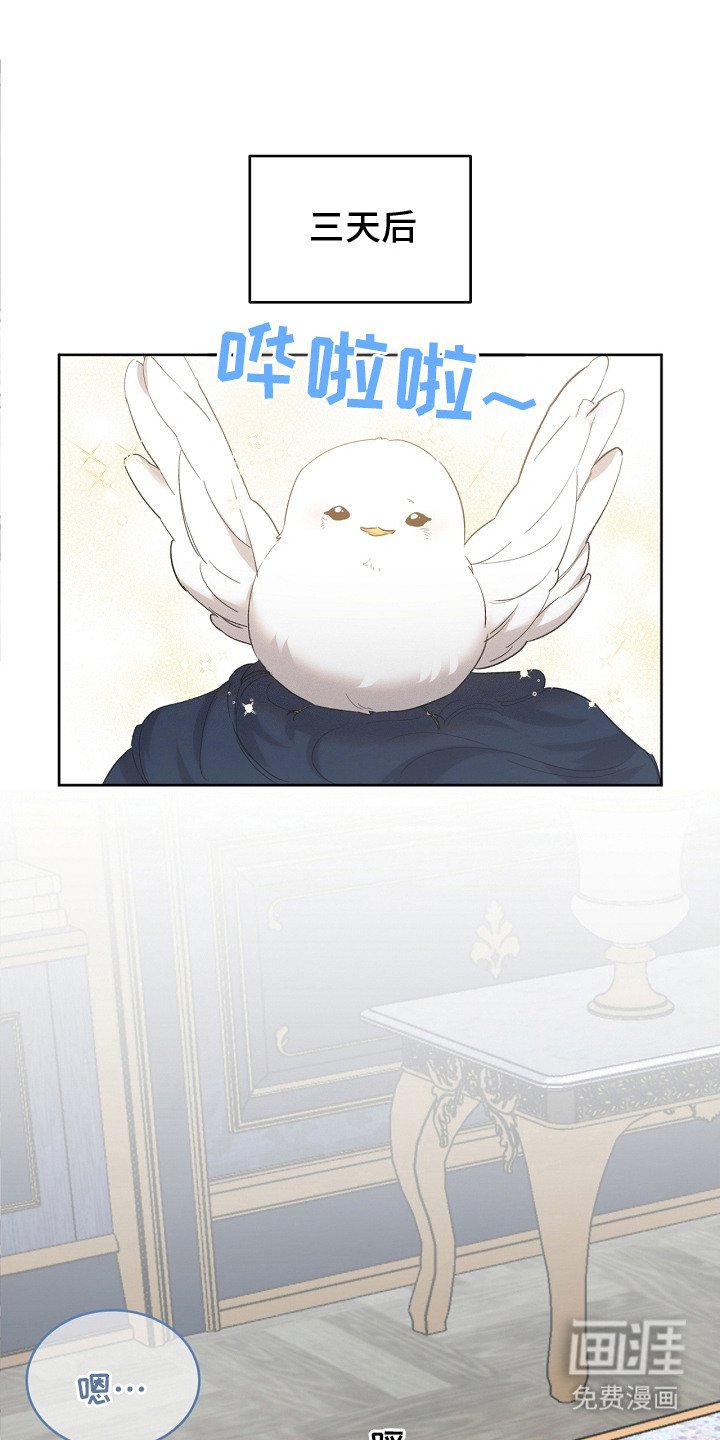 第17章：取名