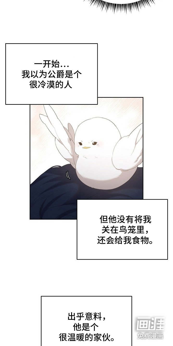 第17章：取名