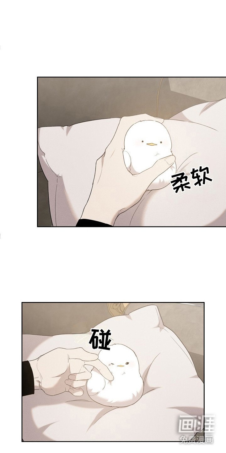 第17章：取名