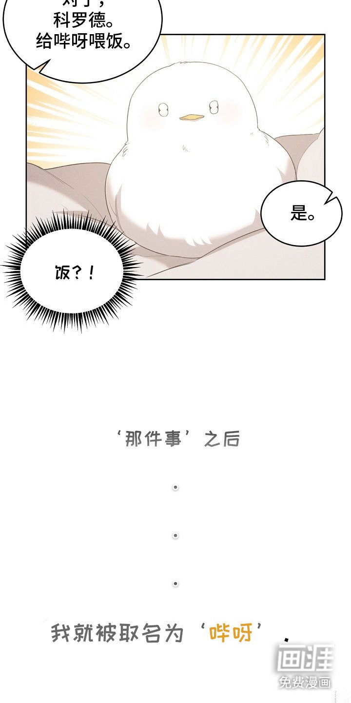 第17章：取名