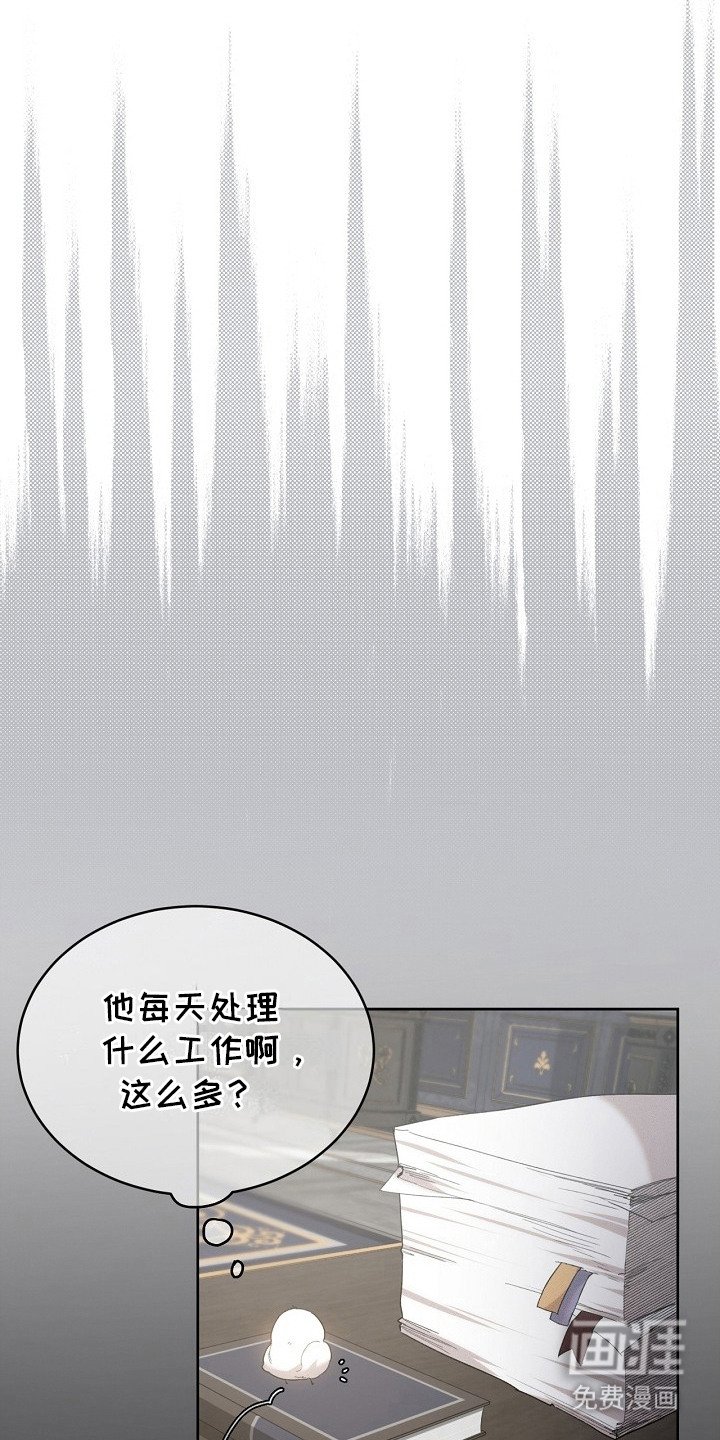 第17章：取名