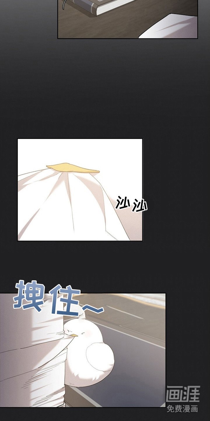 第17章：取名