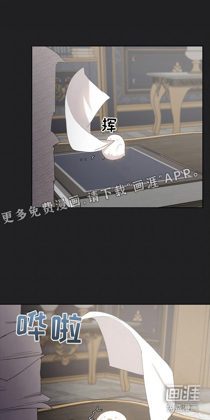 第17章：取名