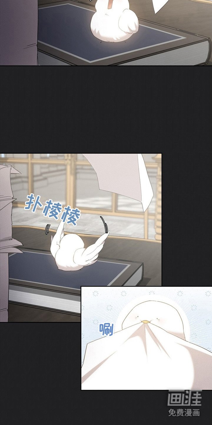 第17章：取名