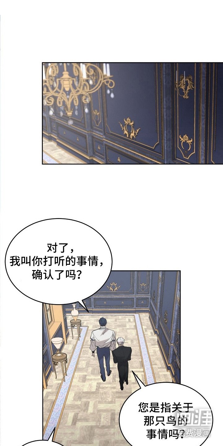 第19章：稀有血统