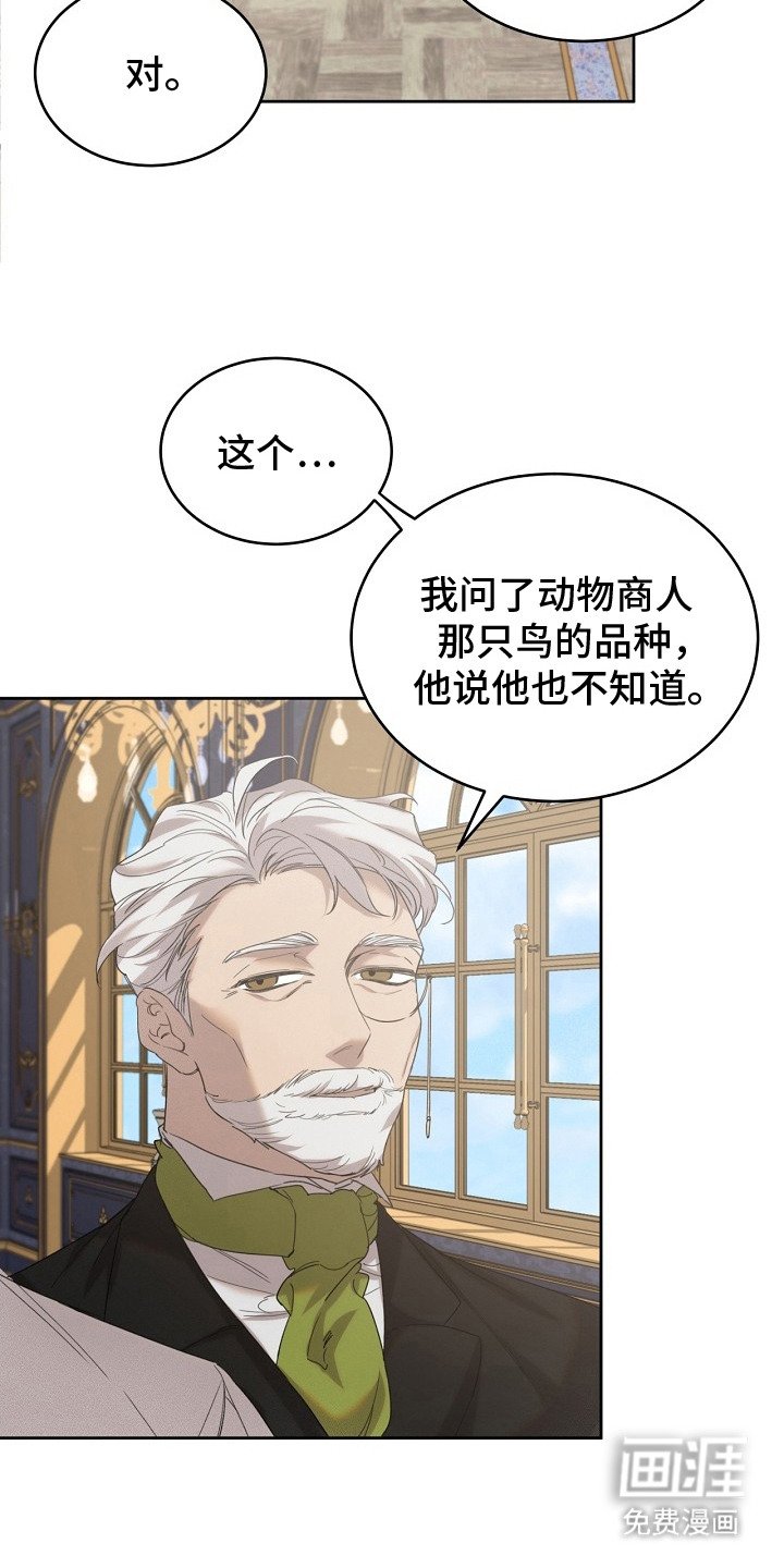 第19章：稀有血统
