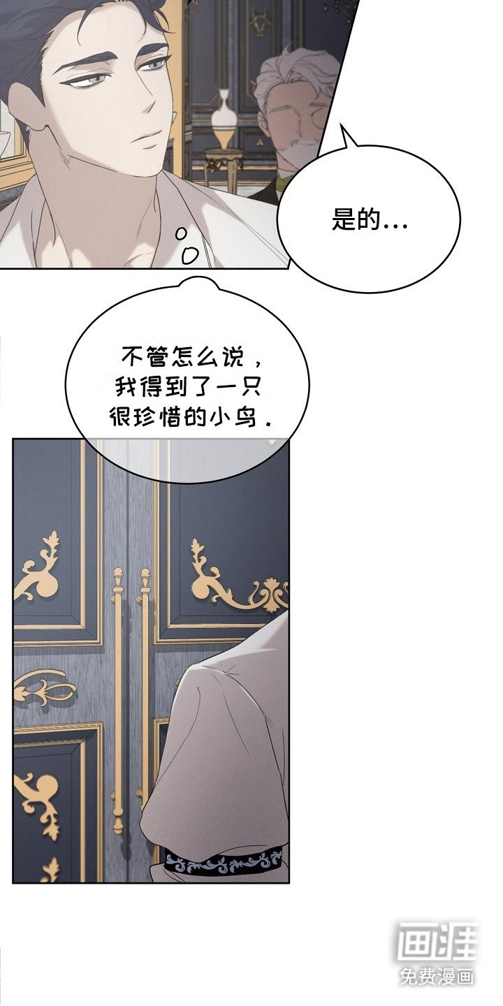 第19章：稀有血统