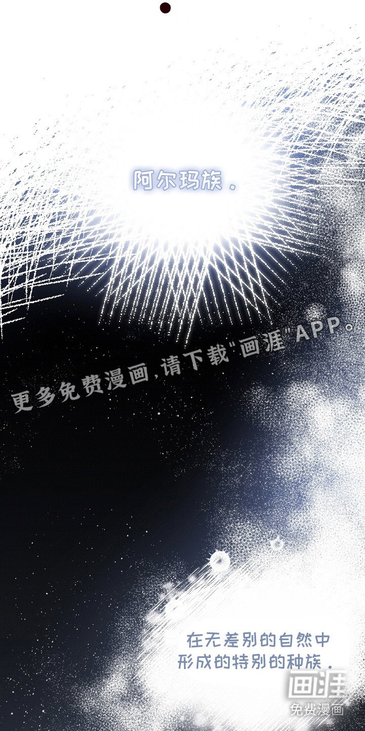 第19章：稀有血统