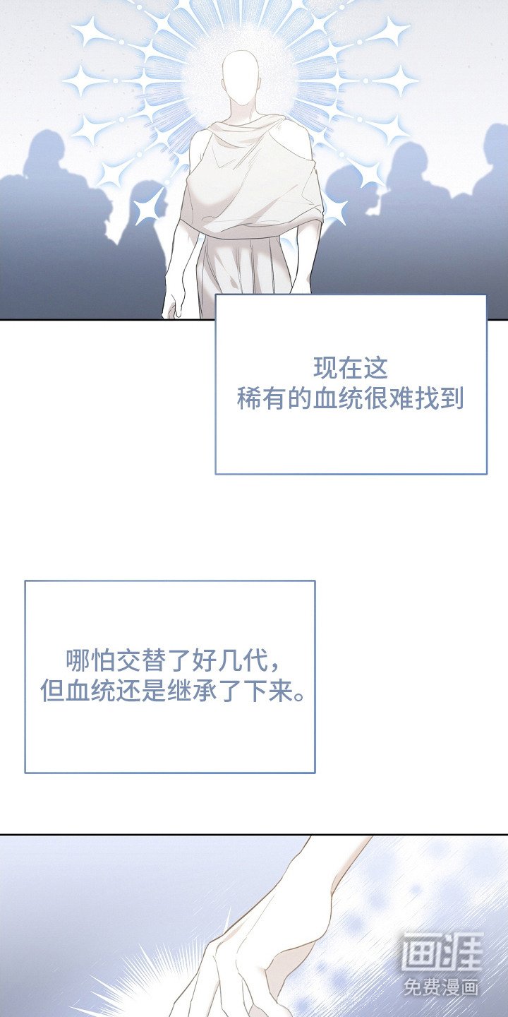 第19章：稀有血统