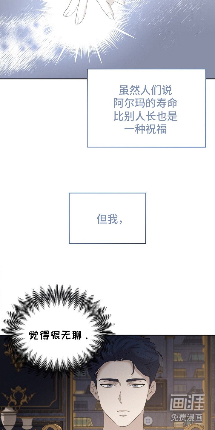 第19章：稀有血统