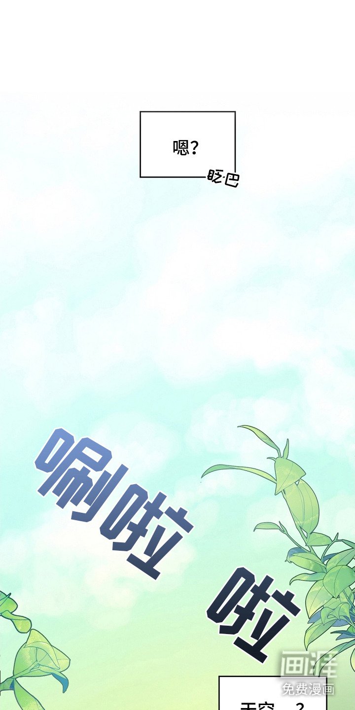 第2章：白色小鸟