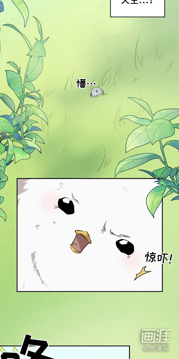 第2章：白色小鸟