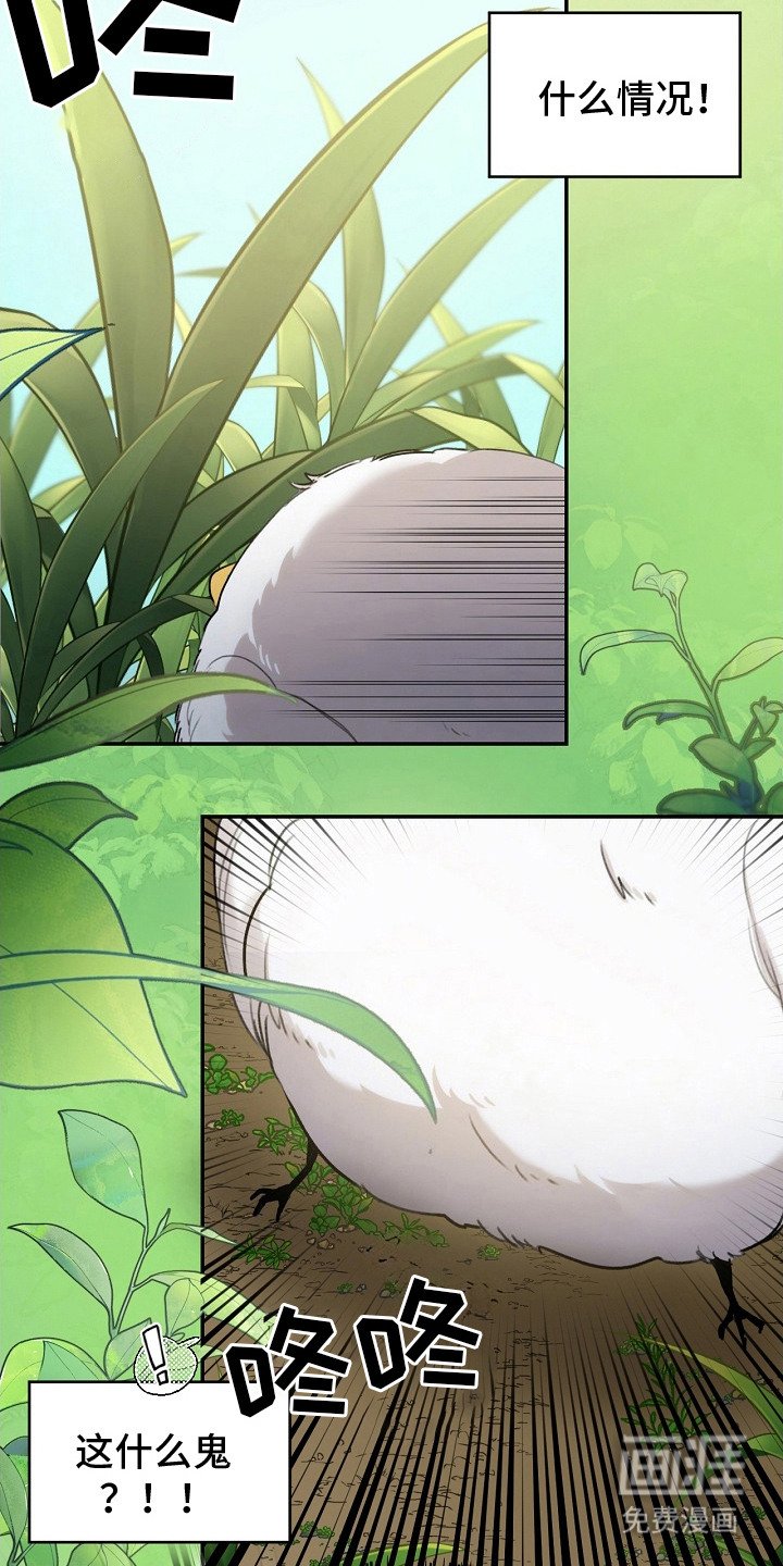 第2章：白色小鸟