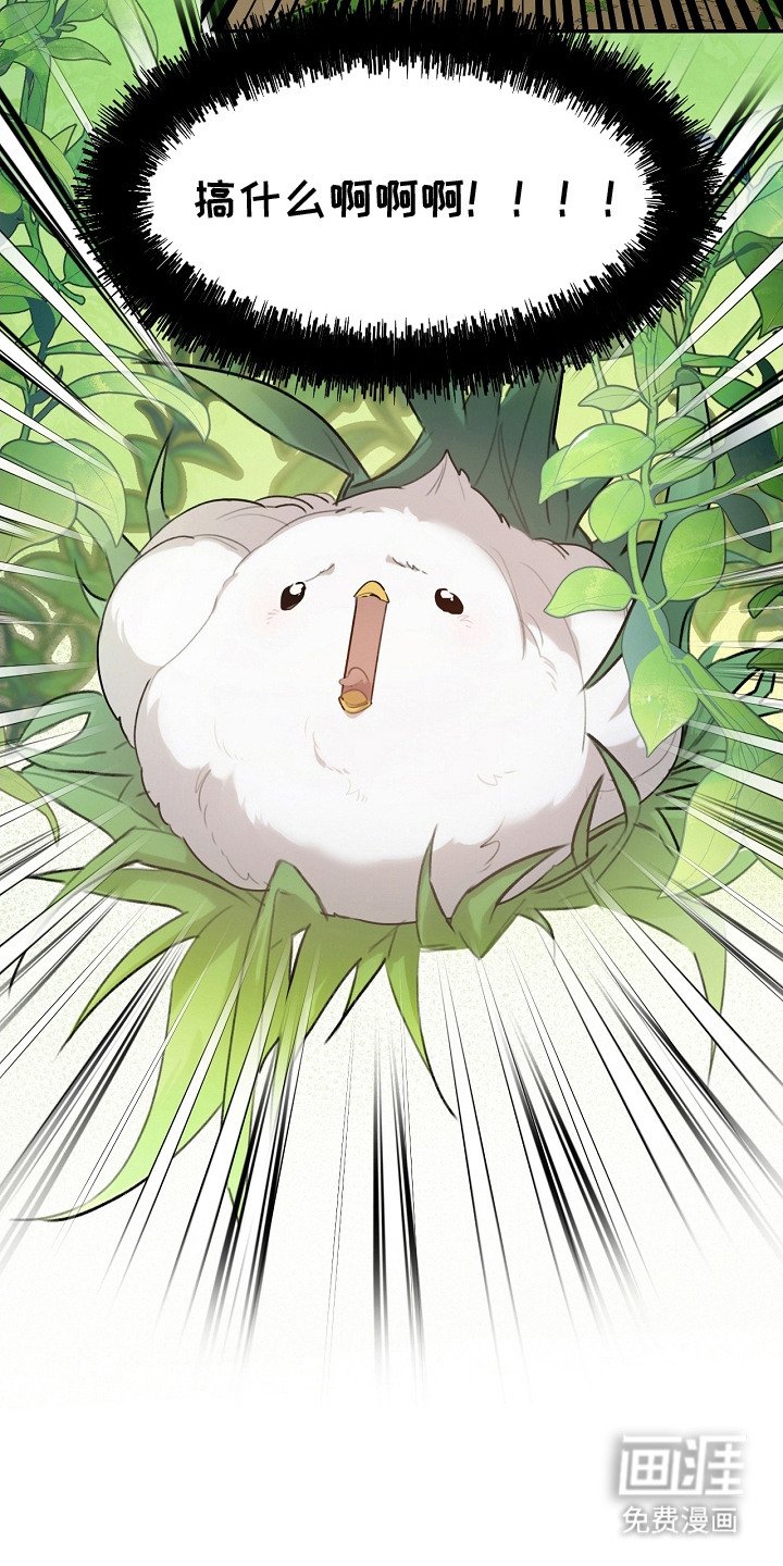 第2章：白色小鸟