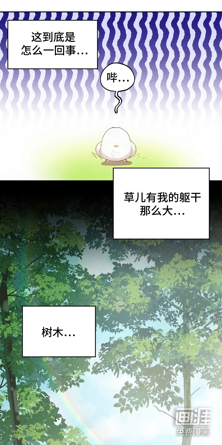 第2章：白色小鸟