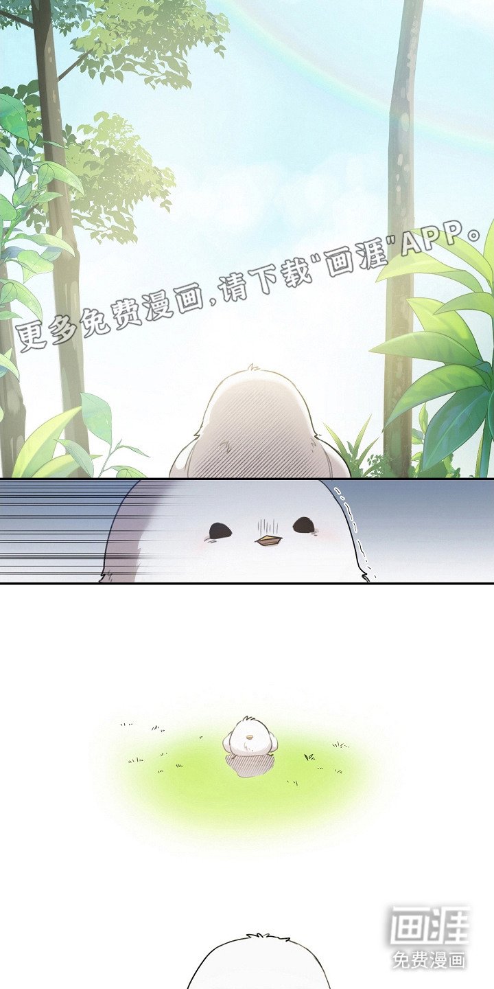 第2章：白色小鸟