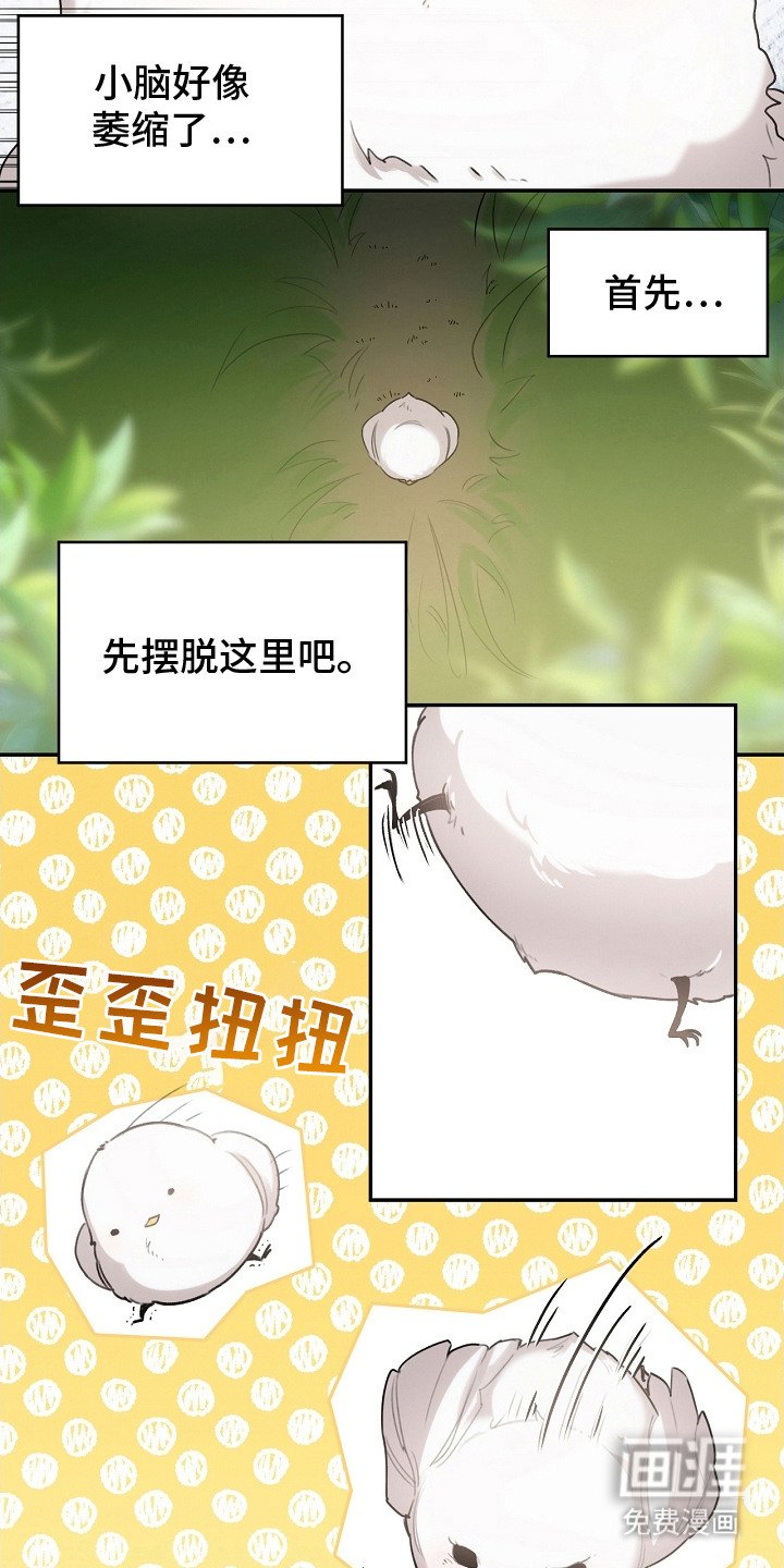 第2章：白色小鸟