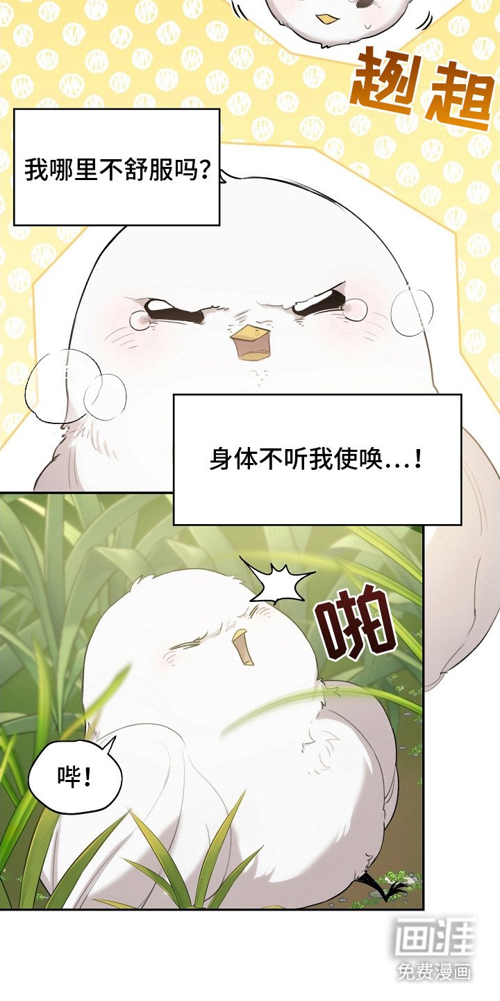第2章：白色小鸟