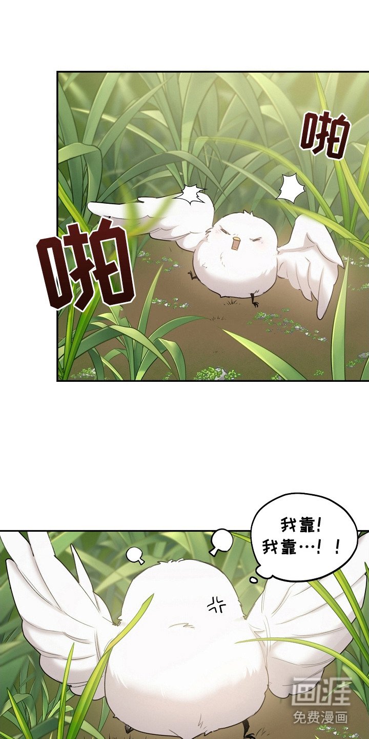 第2章：白色小鸟