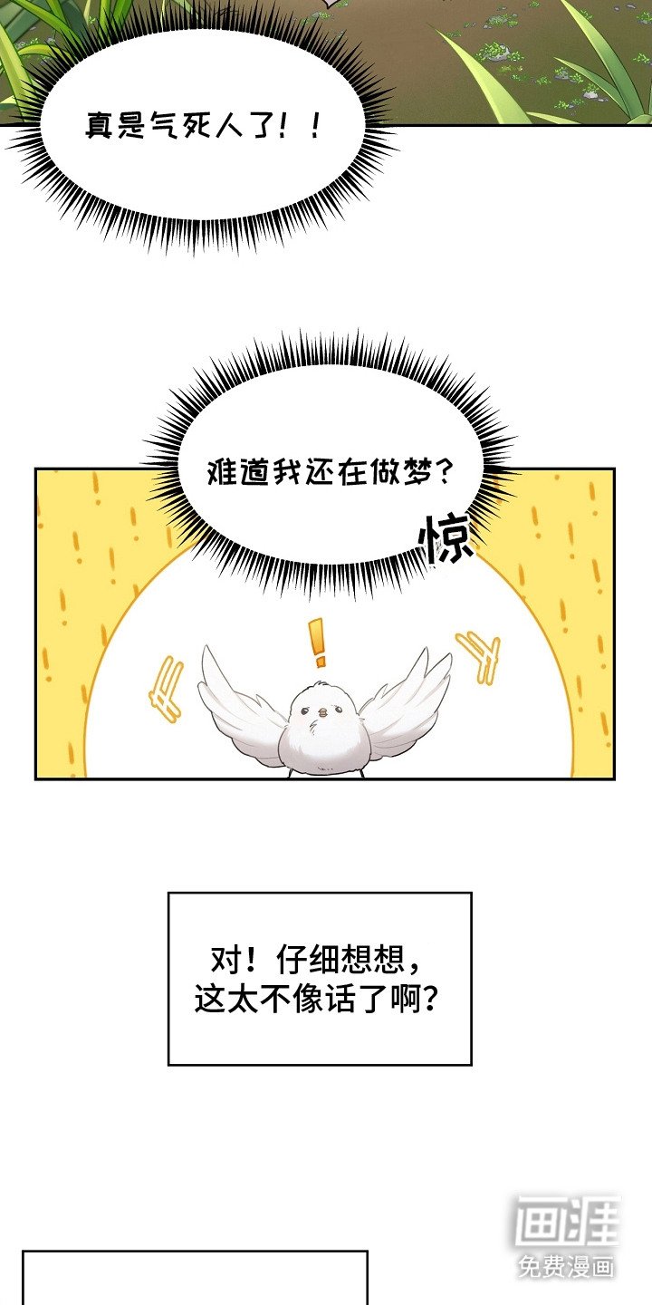 第2章：白色小鸟