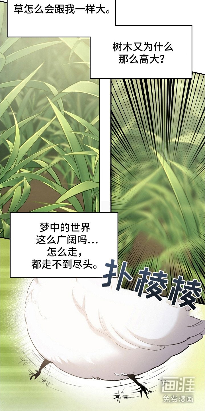 第2章：白色小鸟
