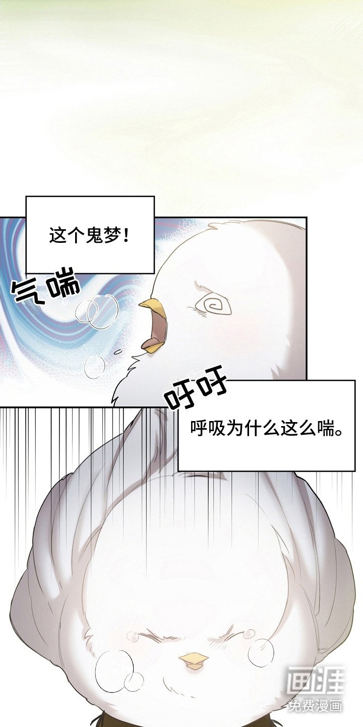 第2章：白色小鸟