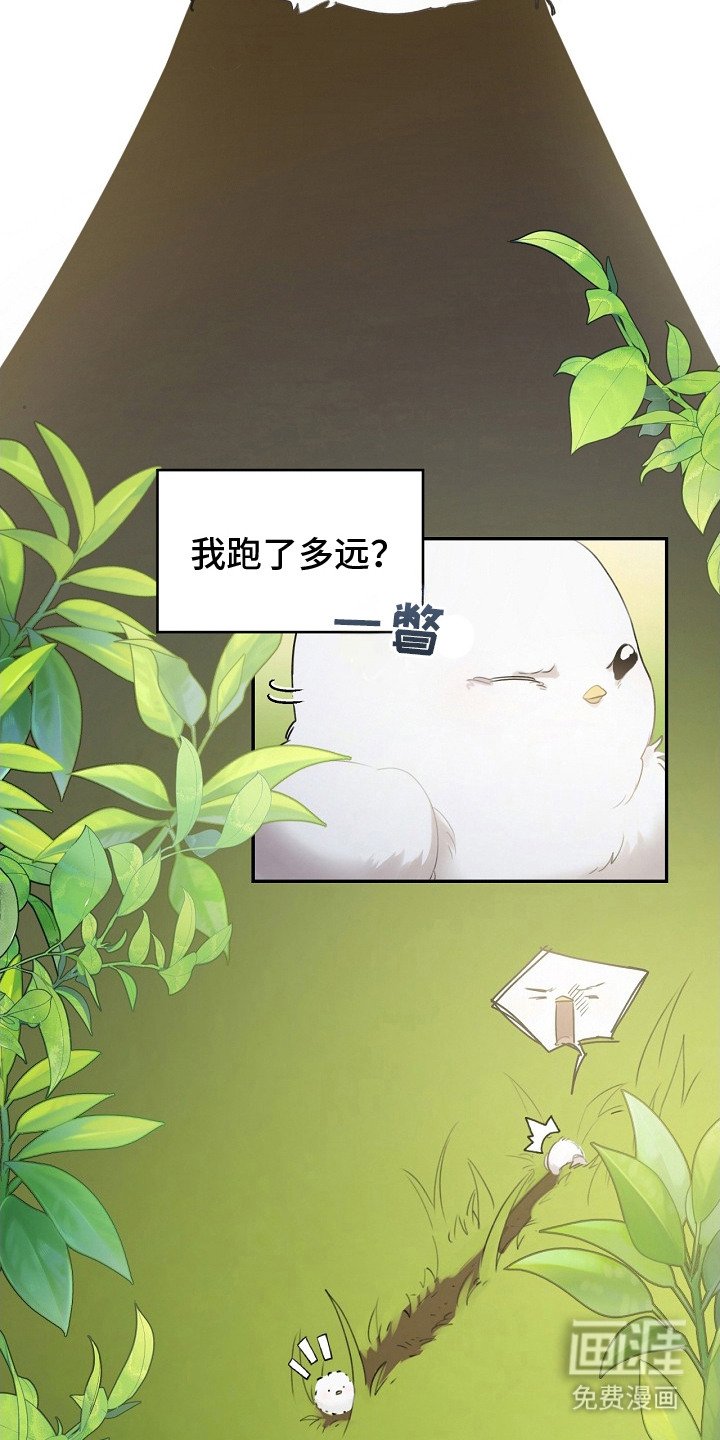 第2章：白色小鸟