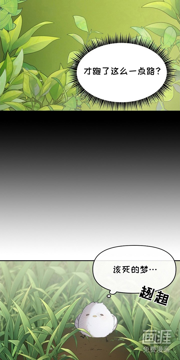 第2章：白色小鸟
