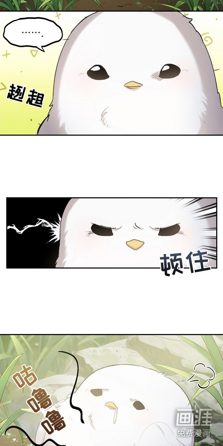 第2章：白色小鸟