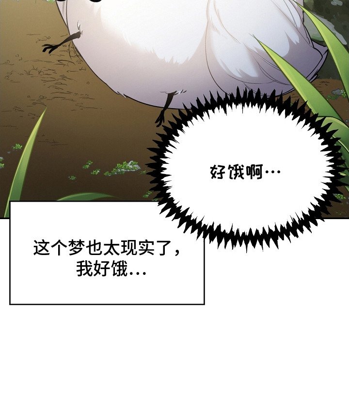 第2章：白色小鸟