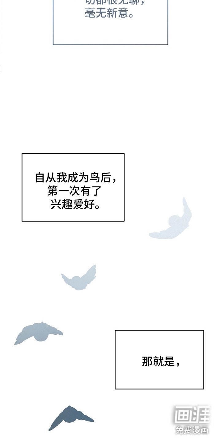 第20章：筑巢