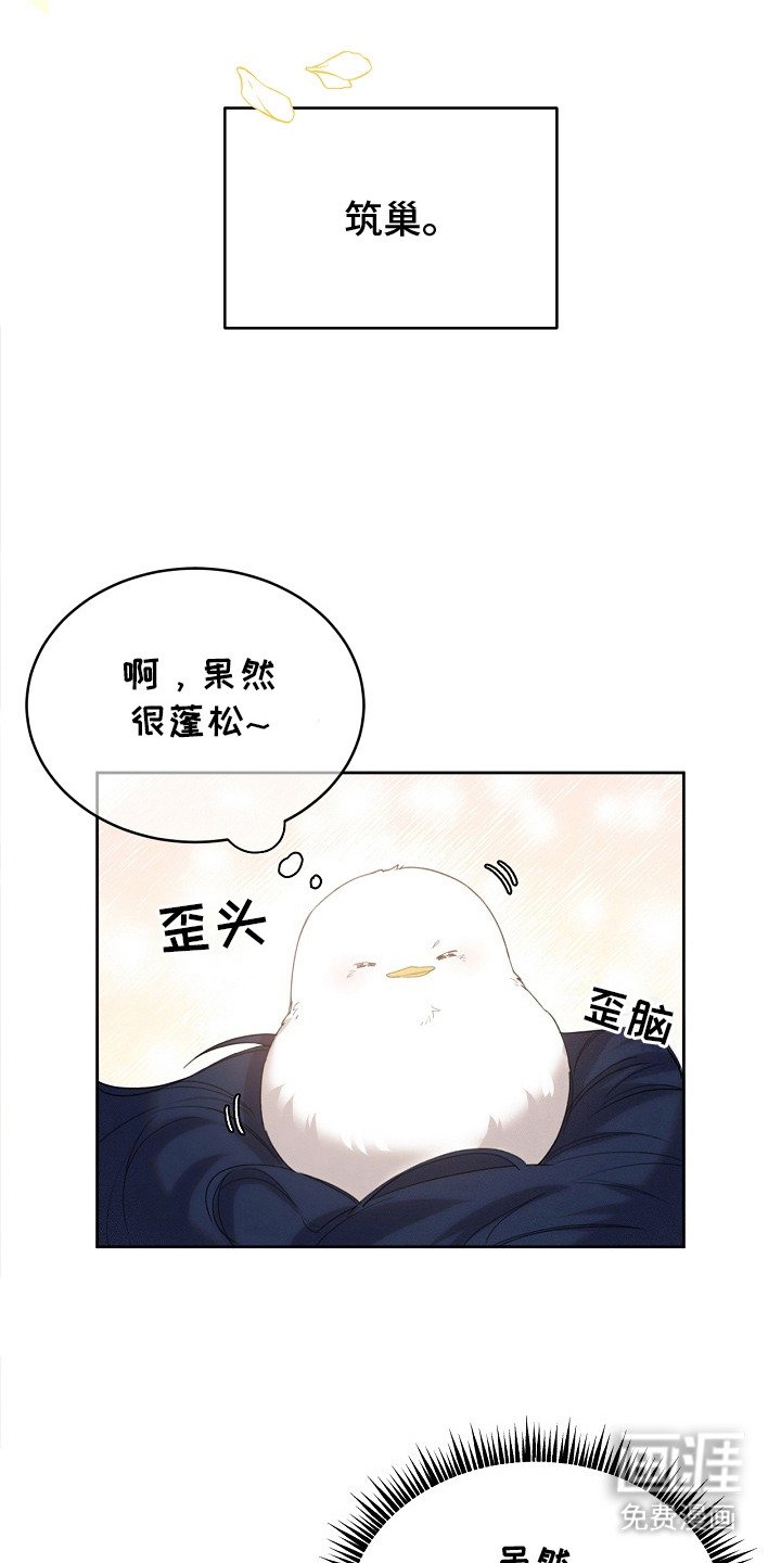 第20章：筑巢