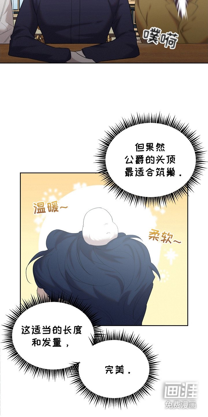 第20章：筑巢