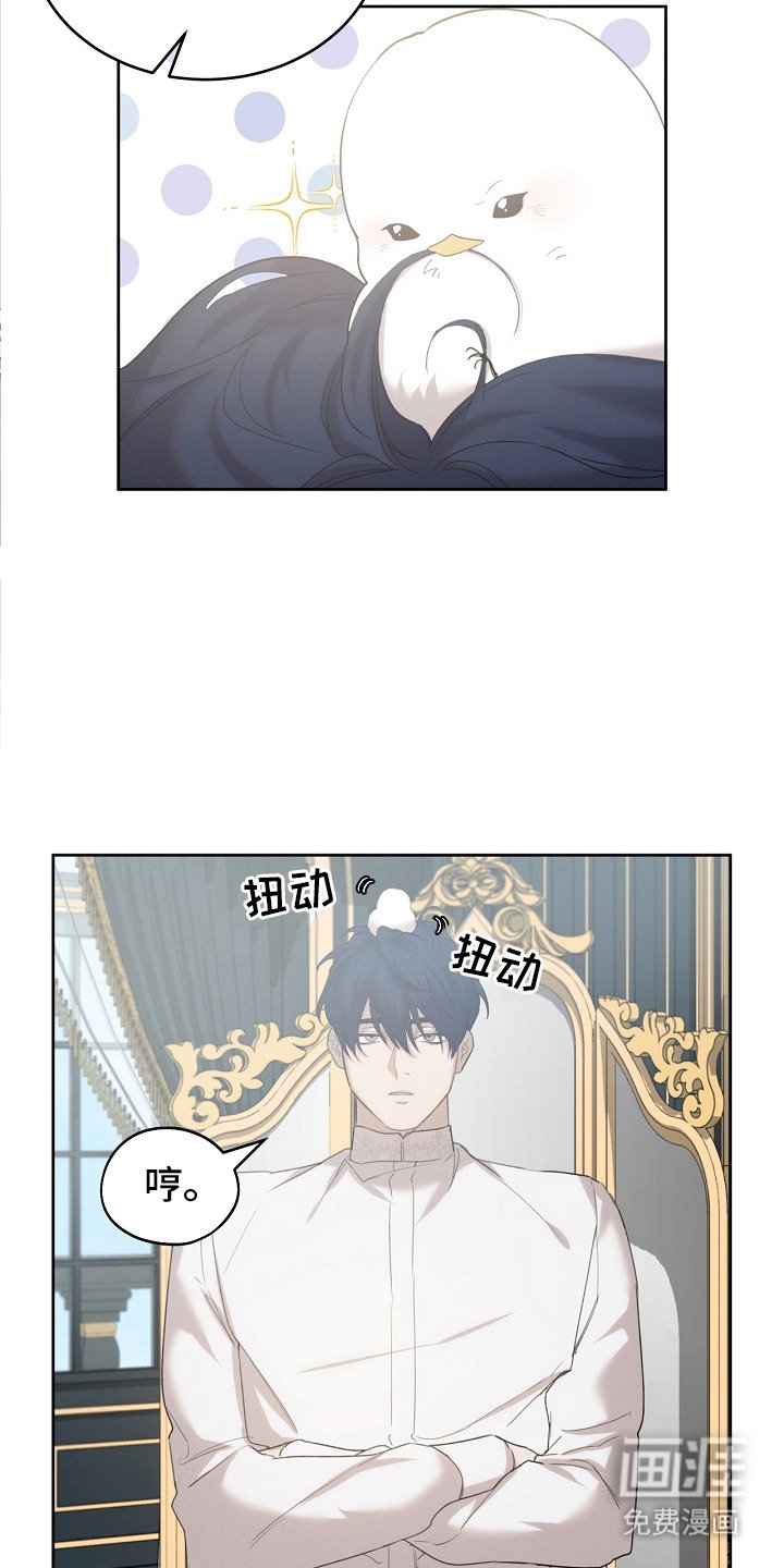 第20章：筑巢