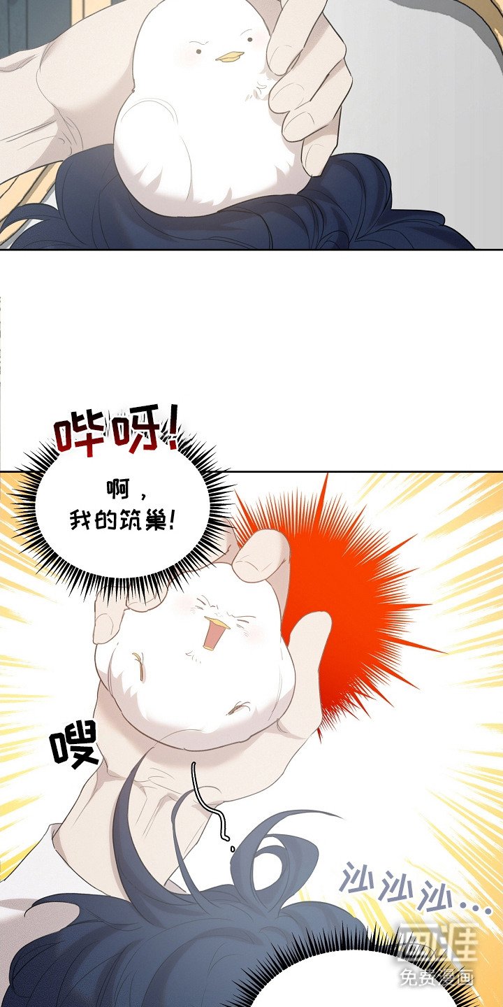 第20章：筑巢