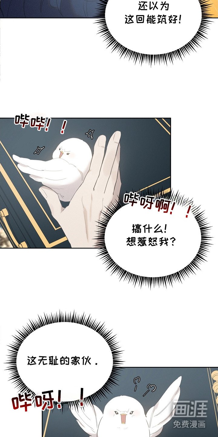 第20章：筑巢