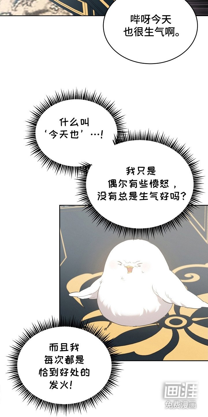 第21章：藏起来