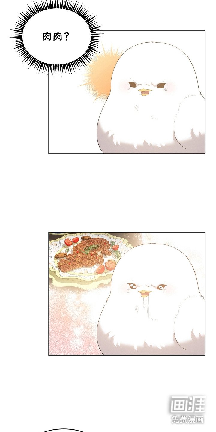 第21章：藏起来