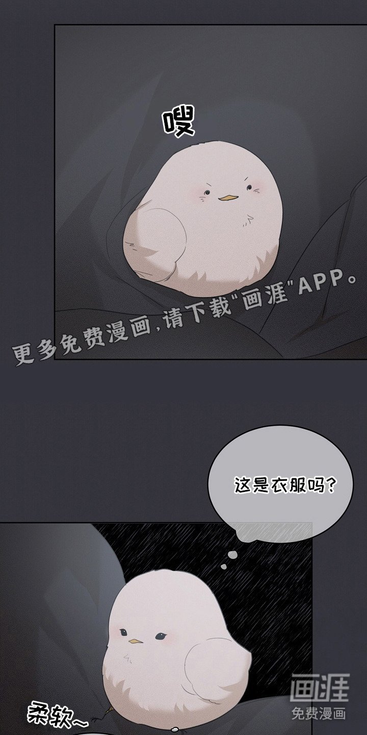 第21章：藏起来